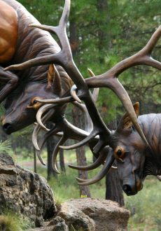Elk,Stags,Fighting,,Sculpture,,High,Desert,Museum,,Central,Oregon